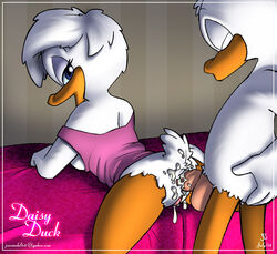 alternate_body_type daisy_duck disney joe_randel penis quack_pack soft_feathers tagme testicles