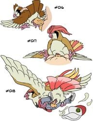 2013 avian balls bird brown_feathers clothed clothing cowgirl_position duo female female_on_top feral flying from_behind hat human interspecies josemalvado josemalvado_pokemon_series male nintendo penetration pidgeot pidgeotto pidgey plain_background pokemon pokemon_rgby pokephilia sex size_difference straight text vaginal_penetration video_games white_background white_feathers zoophilia