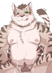 anthro balls belly blush cum cum_on_chest cum_on_face cum_on_stomach felid feline flaccid green_eyes leopard_cat licking licking_lips looking_at_viewer male male_only mammal motion_lines musclegut navel nekojishi nipples nude one_eye_closed overweight overweight_male pecs penis penis_base prionailurus pubes shu-chi simple_background sitting slightly_chubby smile solo tongue tongue_out v2wolf wink