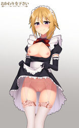 areolae blush breasts charlotte_dunois cowfee female female_only garter_belt infinite_stratos looking_at_viewer nipples pussy skirt skirt_lift solo thighhighs