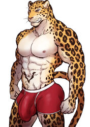 2018 abs anthro biceps biped black_fur black_spots black_tail blue_eyes boxers_(clothing) bulge clothed clothing feline front_view fur grin hi_res leopard long_tail male male_only mammal maririn multicolored_fur multicolored_tail muscular muscular_male navel nipples pecs penis_outline pink_nipples pink_nose portrait red_clothing red_underwear simple_background smile solo spots spotted_fur spotted_tail standing tattoo teeth three-quarter_portrait tobias_(maririn) tobias_fretchman topless two_tone_tail underwear vein veiny_muscles whiskers white_background white_fur yellow_fur yellow_tail