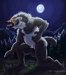 amber_eyes anthro badger balls black_fur detailed_background flaccid full_moon fur glowing glowing_eyes humanoid_penis male male_only mammal mongrelist moon mustelid night nude outside penis sharp_teeth snarling solo teeth tree were werebadger white_fur yellow_eyes