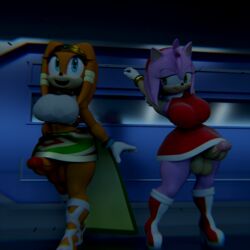 2girls 3d 3d_model amy_rose anthro breasts dickgirl erect futa_only futanari intersex kabalmystic legs mobian mobian_(species) mobian_echidna penis sega sonic_(series) sonic_adventure sonic_the_hedgehog_(series) southerwigwam testicles tikal_the_echidna tikal_the_echidna_(kabalmystic)