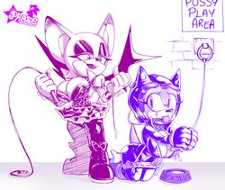 rouge the bat from sonic (series) by cuisine
