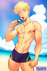 adrien agreste from miraculous ladybug by phausto