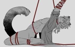 1boy abs animal_ears ark1478 arknights barefoot bondage bottomless bound bound_arms full_body greyscale highres kneeling long_hair looking_at_viewer male_focus medium_hair monochrome naked_shirt open_clothes open_shirt pectorals red_rope rope shirt silverash_(arknights) simple_background snow_leopard_boy snow_leopard_ears snow_leopard_tail solo solo_male spot_color tail toned toned_male
