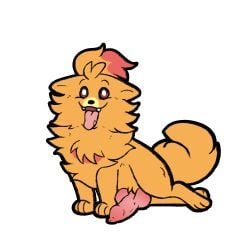 animal_genitalia animal_penis animated barndog breath canid canine canine_genitalia canine_penis canis domestic_dog erection feet female feral floppy_ears fluffy fluffy_tail fur game_freak generation_10_pokemon genitals hi_res knot knotted_penis looking_at_viewer male_only mammal nintendo nude open_mouth orange_body orange_fur panting paws penile penis pokemon pokemon_(species) pokemon_ww pombon pomeranian pomken quadruped smile solo spitz tail tail_motion tailwag teeth toes tongue tongue_out tuft white_background