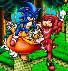 anal anus ball_fondling balls furry furry_only gay happyanthro knuckles_the_echidna male_only no_humans oral penis sonic_(series) sonic_3 sonic_the_hedgehog sonic_the_hedgehog_(series) sonic_the_hedgehog_3 spitroast tails_the_fox team_sonic threesome yaoi