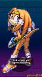 tikal the echidna from sega by hotred