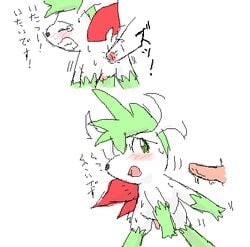 2boys blush disembodied_penis furry gay green_eyes japanese_text legendary_pokemon male male_only nintendo pasaran penis pokémon_(species) pokemon pokemon_(species) pokemon_dppt shaymin sweat text translation_request video_games yaoi