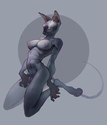 anthro breasts dickgirl feline female intersex lokki-lokki mammal navel nipples nude penis simple_background solo sphynx_(cat)