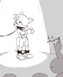 ball_gag balls bound collar drooling finegan gag gagged humiliation leash male male_only penis slave slave_auction sonic_(series) tails