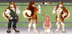 anthro balls canine clothed clothing erection fluffy fsmaverick icelandic_sheepdog knot male mammal model_sheet muscular muscular_male nipples penis piercing solo thosko