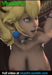 bowsette from mario (series) by vicesfm