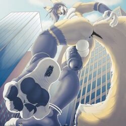 2018 anthro canine destruction fox logan_grey macro male male_only mammal mtfoxx nude pawpads penis plantigrade