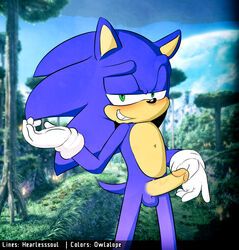 5_fingers anthro blue_fur blue_hair blue_tail clothing detailed_background erection exposed fur gloves green_eyes hair hearlesssoul hedgehog humanoid_penis looking_at_viewer male male_only mammal mostly_nude multicolored_fur outside owlalope penis short_tail smile smirk solo sonic_(series) sonic_the_hedgehog standing tan_fur teeth two_tone_fur