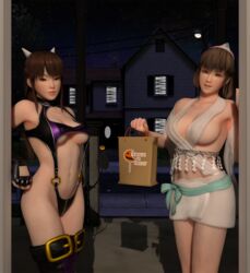 2girls 3d bag blender blue_eyes brown_eyes brown_hair costume dead_or_alive demon_girl demon_horns fangs halloween halloween_costume hitomi_(doa) horns lei_fang looking_at_viewer o-ring_bikini sling_bikini snow_kitsune tecmo transparent_clothing trick_or_treat xnalara