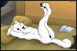 Lya (Gthusky) Rule 34 Image