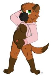 2018 alpha_channel anthro arty bottomless brown_fur clothed clothing fur green_eyes hoodie hyena looking_at_viewer male male_only mammal midnightmeowth penis pink_sweater simple_background smile transparent_background