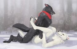 2018 ambiguous_gender ambiguous_penetration anthro anthro_on_anthro black_fur black_nose canine duo fur lying male male/ambiguous male_penetrating mammal nude on_back outside penetration sex signature snow snowfoxatheart white_fur