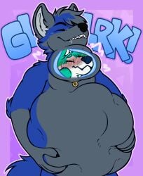 anthro belly belly_grab big_belly blue_body blue_fur blue_hair blush bodily_fluids canid canine canis digestion digestion_noises domestic_dog duo fox fur hair hi_res holding_belly male male/male mammal monty_(blancmont) neck_bulge pred_focus saliva same_size_vore strawberryumbra swallowing vore
