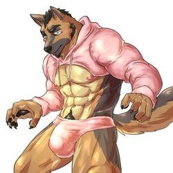 2018 abs anthro canine clothing hi_res hoodie male male_only mammal meme muscular muscular_male nipples pecs pink_sweater twitter_hoodie weedwolfeatmeat