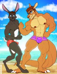 2018 abs anthro balls_outline beach biceps blue_eyes brown_hair bulge clothed clothing cloud dangaroo duo ear_piercing eye_contact eyewear flexing glasses hair kangaroo kihu lagomorph male male_only mammal marsupial muscular muscular_male navel nipples pecs piercing rabbit sea seaside sky smile spiritpaw standing swimsuit tight_clothing topless water