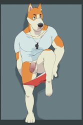 2017 animal_crossing anthro balls canine clothing copper_(animal_crossing) eyebrows fur humanoid_penis male male_only mammal nastyspook nintendo pecs penis shirt signature simple_background solo standing underwear video_games white_fur