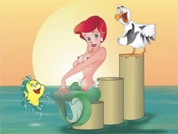 ariel avian bird casual casual_nudity disney exposed exposed_breasts female fish flounder jpg mermaid nipples scuttle seagull the_little_mermaid