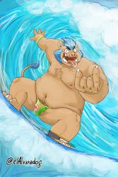 2018 anthro balls belly boar brown_fur bulge clothing elalvaradog fur gouryou humanoid_hands male male_only mammal mohawk moobs navel nipples overweight overweight_male penis porcine solo surfing swimsuit tokyo_afterschool_summoners tusks water yaoi