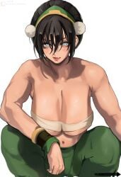 1girls 2d 2d_(artwork) athletic athletic_female avatar_the_last_airbender biceps big_boobs big_breasts black_hair black_hair_female blind blind_female boobs boobs_bigger_than_head breasts breasts_bigger_than_head clothed clothed_female female female_focus female_only fit fit_female large_boobs large_breasts light-skinned_female light_skin looking_at_viewer muscular muscular_female nickelodeon nicktoons shinjinou solo solo_female solo_focus squatting the_legend_of_aang toned toned_female toph_bei_fong
