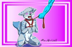 animal_genitalia animal_penis anthro balls blue_markings canid canine canine_genitalia canine_penis canis cel_shading collar digital_drawing_(artwork) digital_media_(artwork) flaccid fur genitals gradient gradient_background grey_body grey_fur hands_up harness hi_res howlfei howlfeiwolf hypnosis hypnotic_eyes kneeling leash looking_up male mammal markings mind_control open_mouth penis pink_eyes shaded sheath signature simple_background solo spiral spiral_eyes tail teeth tongue tongue_out wolf