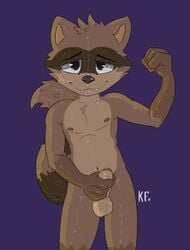 2018 anthro balls black_eyes brown_fur brown_nose cute_fangs fur half-closed_eyes hand_on_penis humanoid_penis katxfish looking_at_viewer male male_only mammal navel nipples penis procyonid purple_background raccoon shy signature simple_background smile solo uncut young