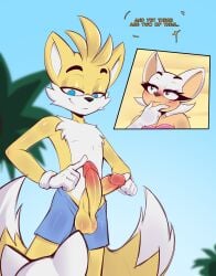rouge the bat from sega by felixf