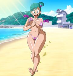 bulma briefs from adult swim by grimphantom