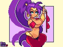 shantae (character) from shantae by pixelsira