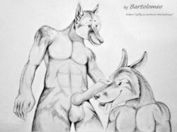 2018 anthro balls bartolomeo_(artist) canine duo erection fox fur knot male mammal penis sketch smile teeth tongue tongue_out yaoi