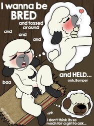 bumper (sleepysheepy) fan art
