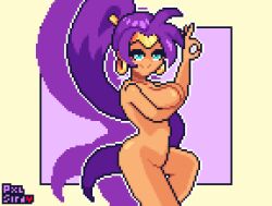 shantae (character) from shantae by pixelsira