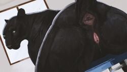 Booru post from rule34.xxx