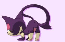 1boy 39coit anus balls bedroom_eyes fur green_eyes half-closed_eyes male male_only nintendo no_humans penis pokémon_(species) pokemon presenting purple_fur purrloin seductive simple_background solo video_games