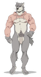 analon_(artist) anthro balls bottomless canine claws clothed clothing fangs fur grey_fur hi_res hoodie humanoid_penis looking_at_viewer male male_only mammal meme musclegut muscular muscular_male nipples partially_clothed penis pubes simple_background smile solo toomanyboners twitter_hoodie uncut white_background wolf wolfalon_(analon)