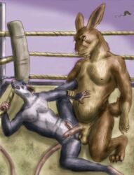 2boys balls defeated domination duo erection fight fighting_ring forced frottage fur furry furry_only lagomorph lying male male_only maledom mammal no_humans on_back penis rabbit rape rat rodent sex slightly_chubby testicles whimsicalsquirrel wrestling yaoi