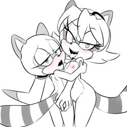 marine the raccoon from sonic (series) by hearlesssoul