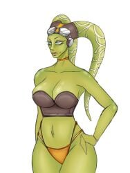 alien alien_girl clothed clothing fanart female_only green_body green_skin hera_(hara0742) hera_syndulla star_wars star_wars_rebels thick_ass thick_thighs