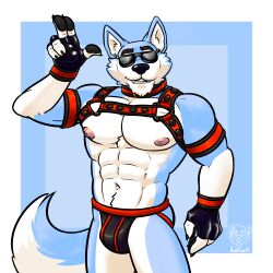 abs anthro armband biceps big_pecs black_nose blue_body blue_fur bulge canid canine canis clothing collar eyewear front_view fur gloves handwear harness hi_res jockstrap lekazik looking_at_viewer male male_focus mammal muscular muscular_anthro muscular_male navel neoprene nipples pecs simple_background solo standing sunglasses teeth underwear white_body white_fur