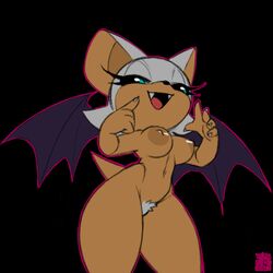 rouge the bat from sonic (series) by xylas