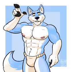 abs anthro asian_clothing balls biceps big_pecs black_nose blue_body blue_fur bulge canid canine canis clothing east_asian_clothing front_view fundoshi fur genitals hi_res japanese_clothing lekazik looking_at_viewer male mammal muscular muscular_anthro muscular_male navel nipples nude pecs simple_background solo standing teeth underwear white_body white_fur yellow_eyes