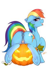 2018 absurdres anatomically_correct anatomically_correct_pussy animal_genitalia animal_pussy anus ass clitoris cutie_mark equine equine_pussy eyelashes female feral food friendship_is_magic fruit highres hooves looking_at_viewer mammal my_little_pony pumpkin pussy pussy_juice rainbow_dash_(mlp) ratofdrawn simple_background solo tongue tongue_out underhoof white_background