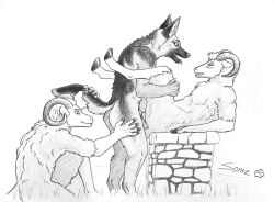 anal anthro anthro_on_anthro anthro_penetrated anthro_penetrating anthro_penetrating_anthro ass blush bovid candid canid canine canis caprine domestic_dog fur genitals german_shepherd grass group group_sex herding_dog hi_res hooves kneeling lying male male/male mammal nude on_back pastoral_dog penetration penile penile_penetration penis plant raised_tail sex sheep some_(someone) standing stone_wall table_lotus_position tail tongue trio wall_(structure) white_body white_fur white_wool wool_(fur)